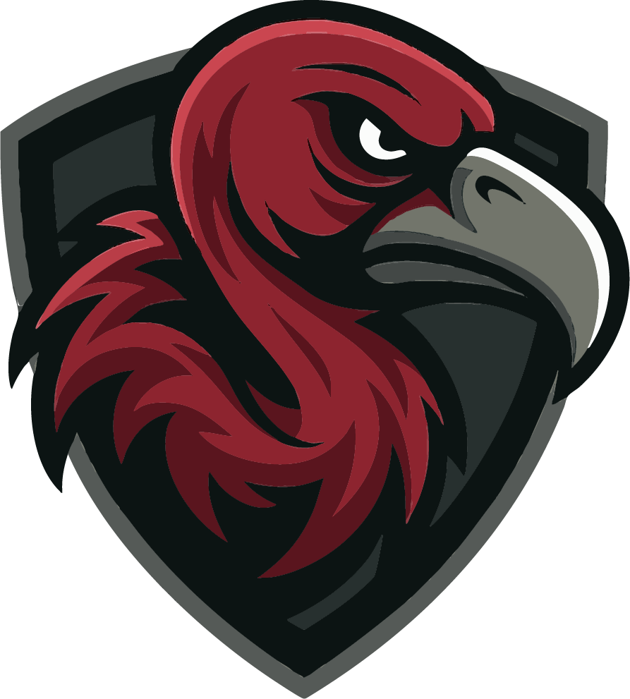 Valora Vultures logo